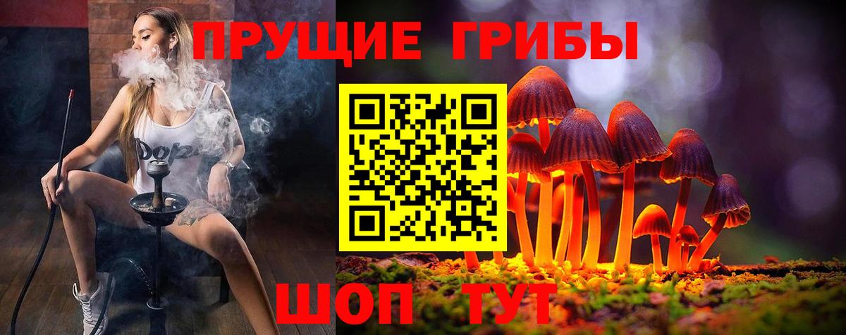Туапсе  Псилоцибиновые грибы мицелий  Вход с VPN 