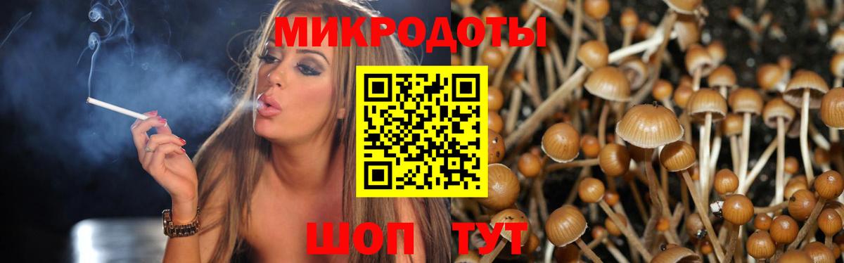 Псилоцибиновые грибы прущие грибы Туапсе